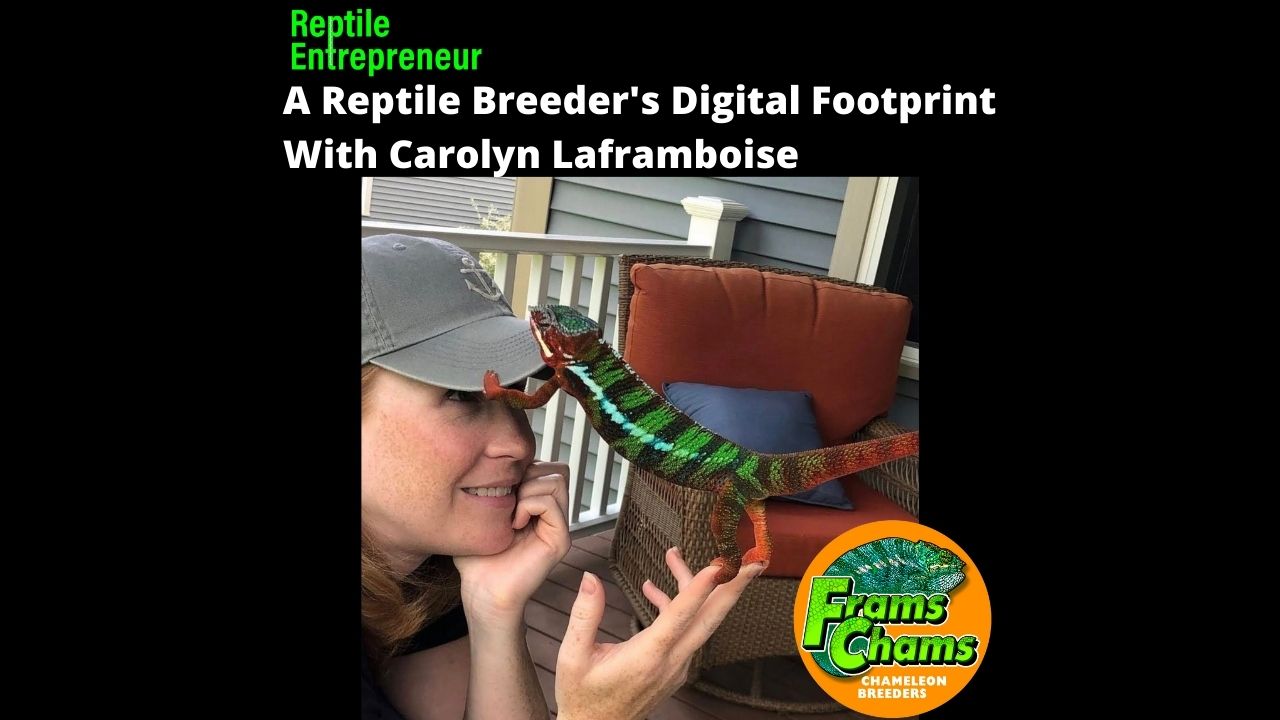 Fresh Look at E3 Ep14 A Reptile Breeder S Digital Footprint